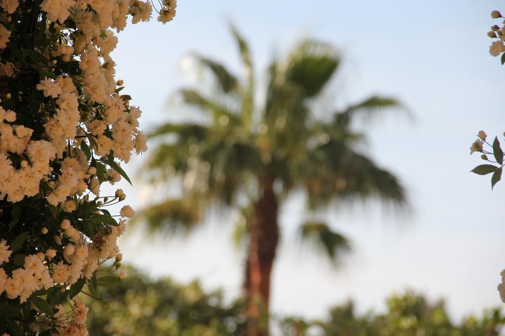 Naranjos Country house Son Sardina